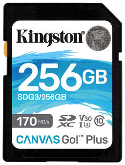 Карта памяти Kingston 256GB Canvas Go! Plus 170R (SDG3/256GB) 965844460938963