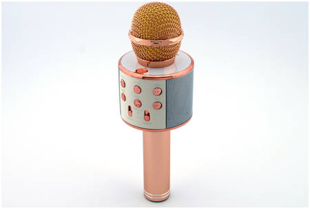 Микрофон-колонка Wster WS-858 Gold/Pink 965844462811307