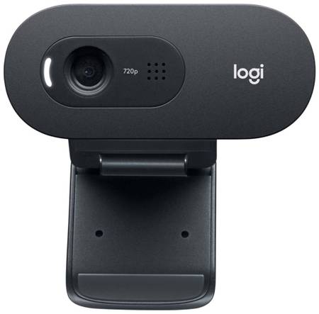 Web-камера Logitech C505 Black (960-001364) 965844463829608