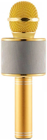 Микрофон-колонка Wster WS 858 Gold/Silver 965844467093262