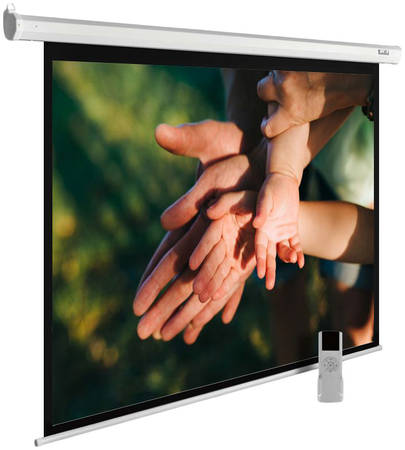 Экран для видеопроектора Cactus MotoExpert CS-PSME-280X280-WT