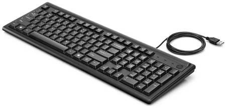 Проводная клавиатура HP 100 Black (2UN30AA) 965844469950759