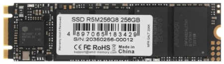 SSD накопитель AMD Radeon R5 M.2 2280 256 ГБ (R5M256G8) 965844476465779