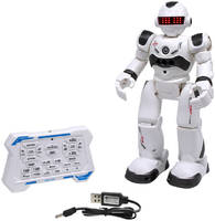 Робот Лёня ТМ Smart Baby , реагирует на жесты, Р/У JB0402279