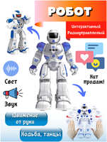 Робот на пульте управления Vulpes Интерактивный ZYA-A2746