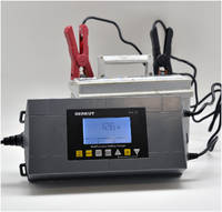Профессиональное зарядное устройство BERKUT BCA-25 (BCA25)