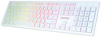 Проводная клавиатура SmartBuy ONE 305 White (SBK-305U-W)