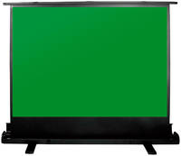 Экран для видеопроектора Cactus GreenFloorExpert CS-PSGFE-200X150