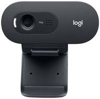 Web-камера Logitech C505 Black (960-001364)