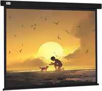 Экран Cactus 150x150см Wallscreen CS-PSW-150X150-BK 1:1