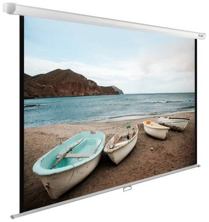 Экран Cactus WallExpert CS-PSWE-220x138-WT, 220х138 см, 16:10, настенно-потолочный