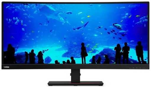 34″ Монитор Lenovo ThinkVision P34w-20, 3440x1440, IPS, 2хHDMI, 1хDP, 1хType-С, изогнутый, черный [63f2rat3uk] 9666483826