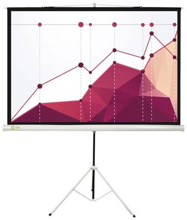 Экран Cactus Triscreen CS-PST-180x180, 180х180 см, 1:1, напольный черный 966715462