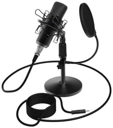 Микрофон Ritmix RDM-175, черный [80000152] 9668072206
