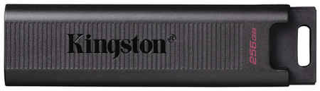 Флешка USB (Type-C) Kingston DataTraveler Max 256ГБ, USB3.2, [dtmax/256gb]