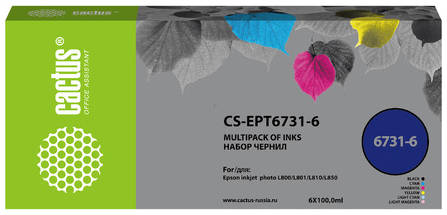Набор чернил Cactus CS-EPT6731-6 T673, для Epson, 100мл, многоцветный 9668205247