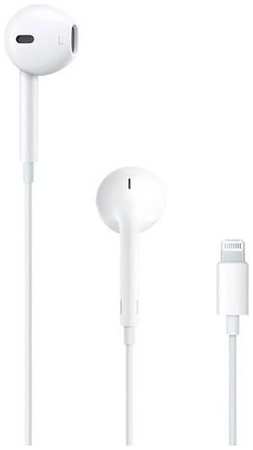 Наушники Apple EarPods A1748, Lightning, вкладыши, белый [mmtn2fem/a] 9668539914