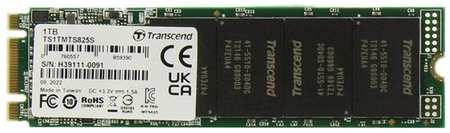 SSD накопитель Transcend 825S TS1TMTS825S 1ТБ, M.2 2280, SATA III, M.2 9668545193