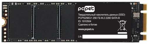 SSD накопитель PC PET PCPS256G1 256ГБ, M.2 2280, SATA III, M.2, oem 9668584142