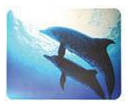 Коврик для мыши Buro BU-M40083 (S) рисунок/дельфины, PVC, 230х180х2мм