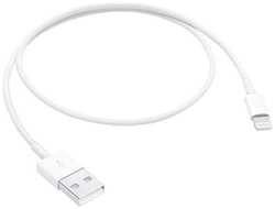 Кабель Apple ME291ZM / A_, Lightning (m) - USB (m), 0.5м, MFI, белый (ME291ZM/A_)
