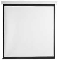 Экран DIGIS Electra-F DSEF-4306, 368х286.5 см, 4:3, настенно-потолочный