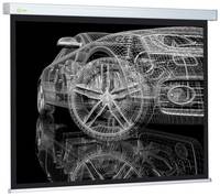 Экран Cactus Wallscreen CS-PSW-213x213, 213х213 см, 1:1, настенно-потолочный белый