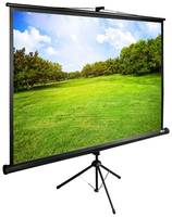 Экран Cactus TriExpert CS-PSTE-200x150-BK, 200х150 см, 4:3, напольный