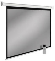 Экран Cactus SIlverMotoExpert CS-PSSME-300X188-DG, 300х188 см, 16:10, настенно-потолочный