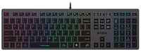 Клавиатура A4TECH Fstyler FX60H, USB, [fx60h /neon]