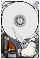Жесткий диск Seagate Ironwolf ST10000VN000, 10ТБ, HDD, SATA III, 3.5″