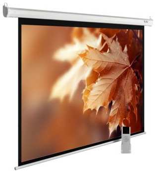 Экран Cactus CS-PSME-300X188-WT 16:10 настенно-потолочный рулонный белый (моторизованный) 969078863