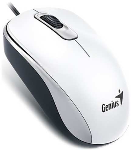 Мышь Genius DX-110 31010009401 1000 dpi, 3 кнопки+колесо прокрутки, провод 1,5 м, USB, White (31010116102) 969346376