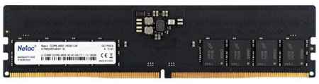 Модуль памяти DDR5 16GB Netac NTBSD5P48SP-16 Basic PC5-38400 4800MHz CL40 1.1V 969549210