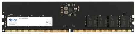 Модуль памяти DDR5 8GB Netac NTBSD5P48SP-08 PC5-38400 4800MHz CL40 1.1V 969566076