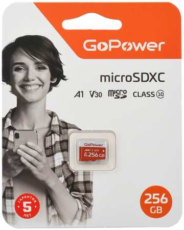 Карта памяти 256GB GoPower 00-00025684 microSDXC Class10 UHS-I (U3) 100 МБ/сек V30 без адаптера 9698412589
