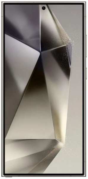 Смартфон Samsung Galaxy S24 Ultra 12/256GB SM-S928BZTCMEA Titanium Gray 9698492178