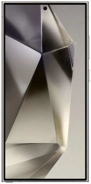 Смартфон Samsung Galaxy S24 Ultra 12/256GB SM-S928BZTGCAU titanium gray 9698494769