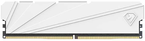 Модуль памяти DDR4 16GB Netac NTSSD4P32SP-16W Shadow S PC4-25600 3200MHz CL16 радиатор 1.35V