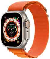 Часы Apple Watch Ultra 49mm S Titan Case/ Alpine Loop