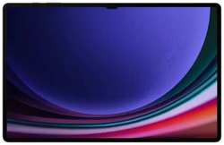 Планшет 14.6″ Samsung Galaxy Tab S9 Ultra 12 / 256GB Wi-Fi SM-X910NZAACAU graphite