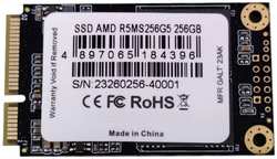 Накопитель SSD mSATA AMD R5MS256G5 Radeon R5 256GB SATA 6Gb / s 3D TLC 543 / 467MB / s IOPS 80K / 72K