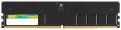 Модуль памяти DDR5 16GB Silicon Power SP016GBLVU560F02 PC5-44800 5600MHz CL46 1.1V dual rank Ret