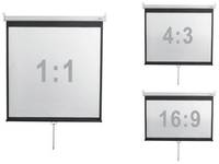 Экран Digis DSOD-1108 Optimal-D, 1:1, 167″, 308x310, раб поверхность 300х300, MW