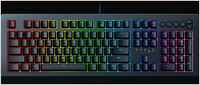 Клавиатура проводная Razer Cynosa V2, мембранная, подсветка, USB, черный (RZ03-03400700-R3R1)