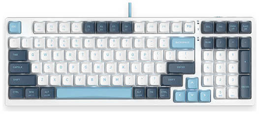 Клавиатура A4Tech Fstyler FS300 PANDA SNOWBOARDING белый/синий 971000016341698