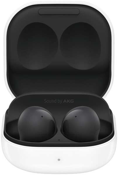 Наушники Samsung Galaxy Buds 2 Графитовый (SM-R177NZKAINS) 971000019276698