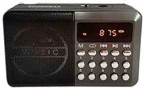 Радиочасы SoundMAX SM-RD2127 (тёмный титан) 971000152508698