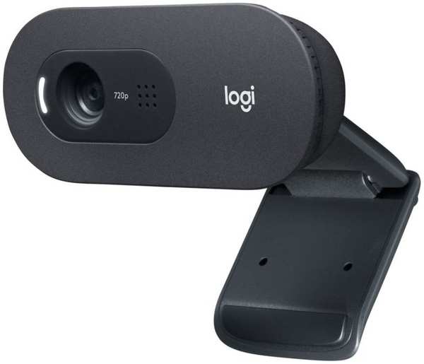 Веб-камера Logitech WebCam C505e черный (960-001372) 971000237709698