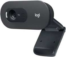 Веб-камера Logitech C505e черный (960-001373)
